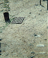 100.jpg