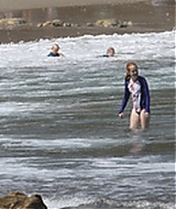 243.jpg