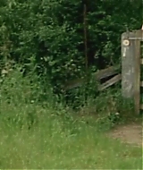 105.jpg