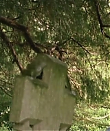 183.jpg