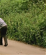 196.jpg