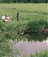368.jpg