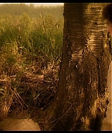 030.jpg