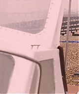 146.jpg