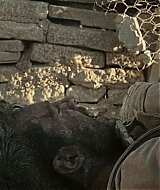 1170.jpg