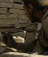 1196.jpg