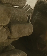 1225.jpg
