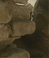 1226.jpg