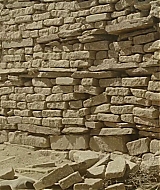 1232.jpg