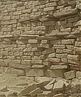1233.jpg
