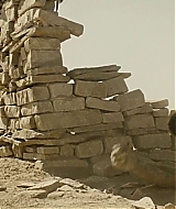 1237.jpg