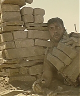 1239.jpg