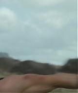 1700.jpg