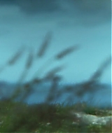 147.jpg