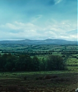161.jpg
