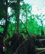 178.jpg