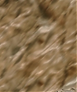 1064.jpg