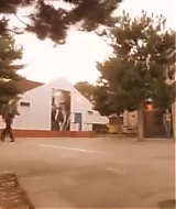1177.jpg