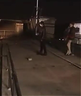 3103.jpg