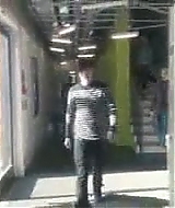 3743.jpg