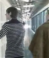 3753.jpg