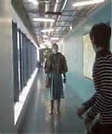 3763.jpg