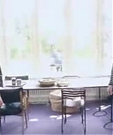 3796.jpg